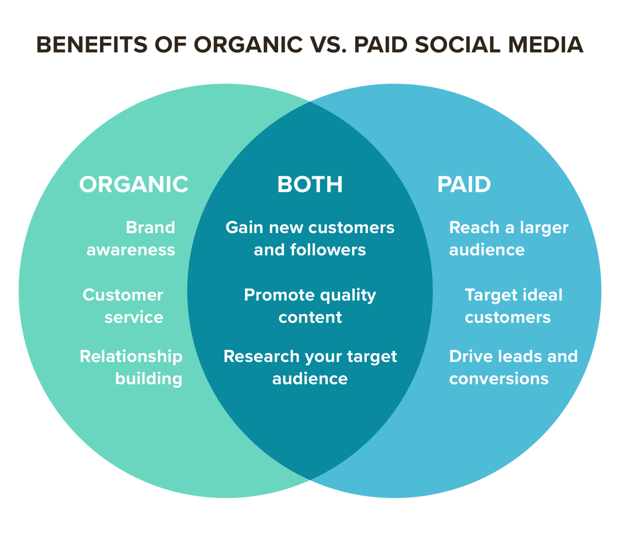 Organic Social Media Content: Understanding Value Beyond Paid Promotion