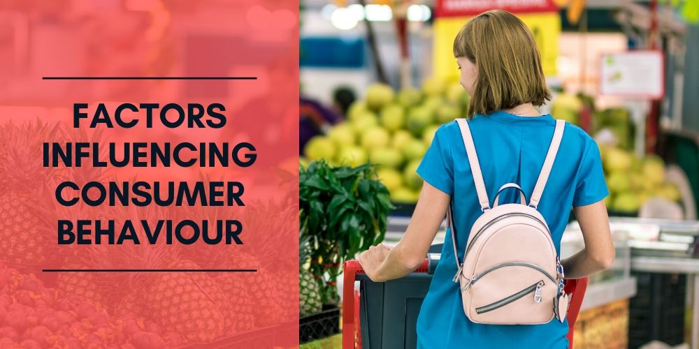 Environmental Influences: The Primary Factors Affecting Consumer Behavior