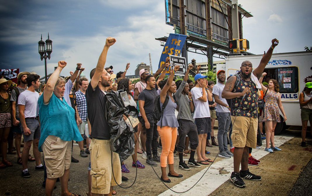 Grassroots and Interest Groups: The Twin Forces Shaping American Politics